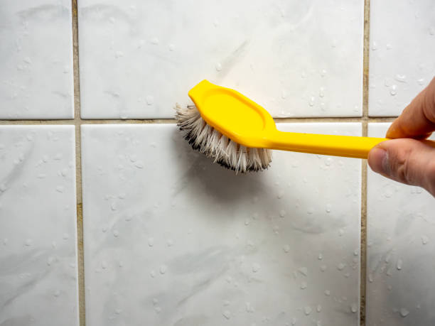 Best Mold Damage Repair  in Whitfield, PA