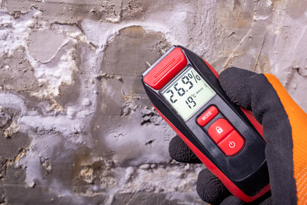 Best Mold Removal and Inspection  in Whitfield, PA