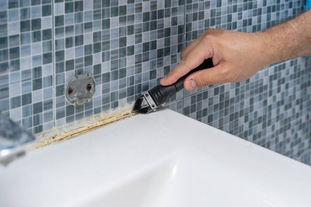 Best Affordable Mold Removal  in Whitfield, PA