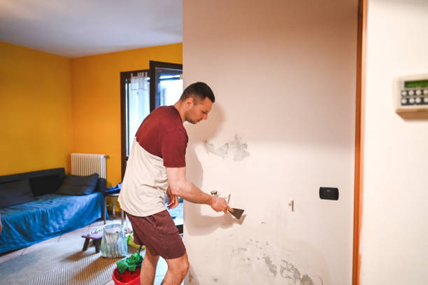 Best Mold Remediation  in Whitfield, PA